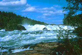 Norway Salmon Fishing Målselva River