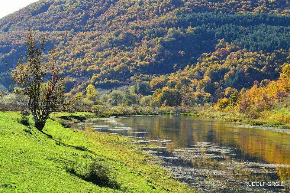 Trout and grayling fishing Bosina - pliva river