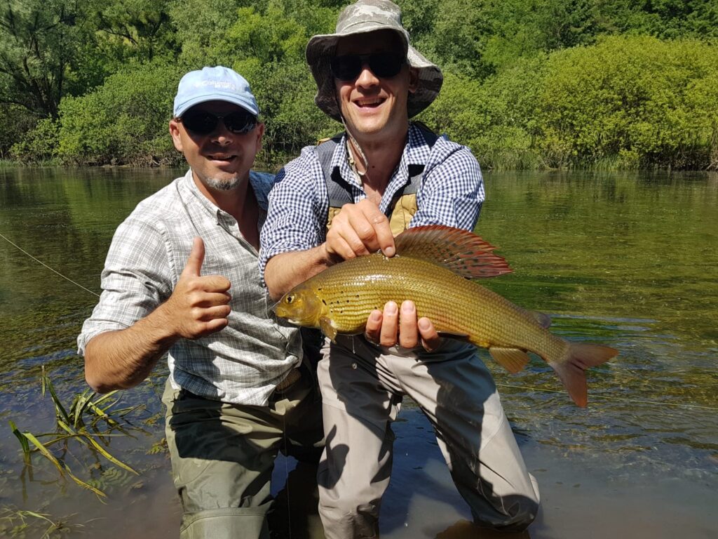 Grayling