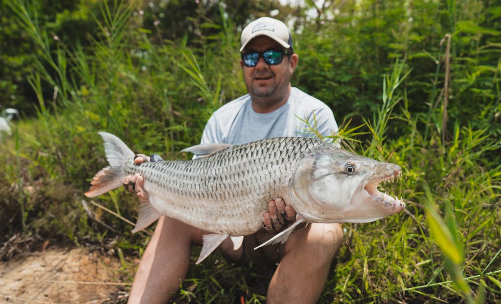 Big Tigerfish catch on an African fly fishing safari