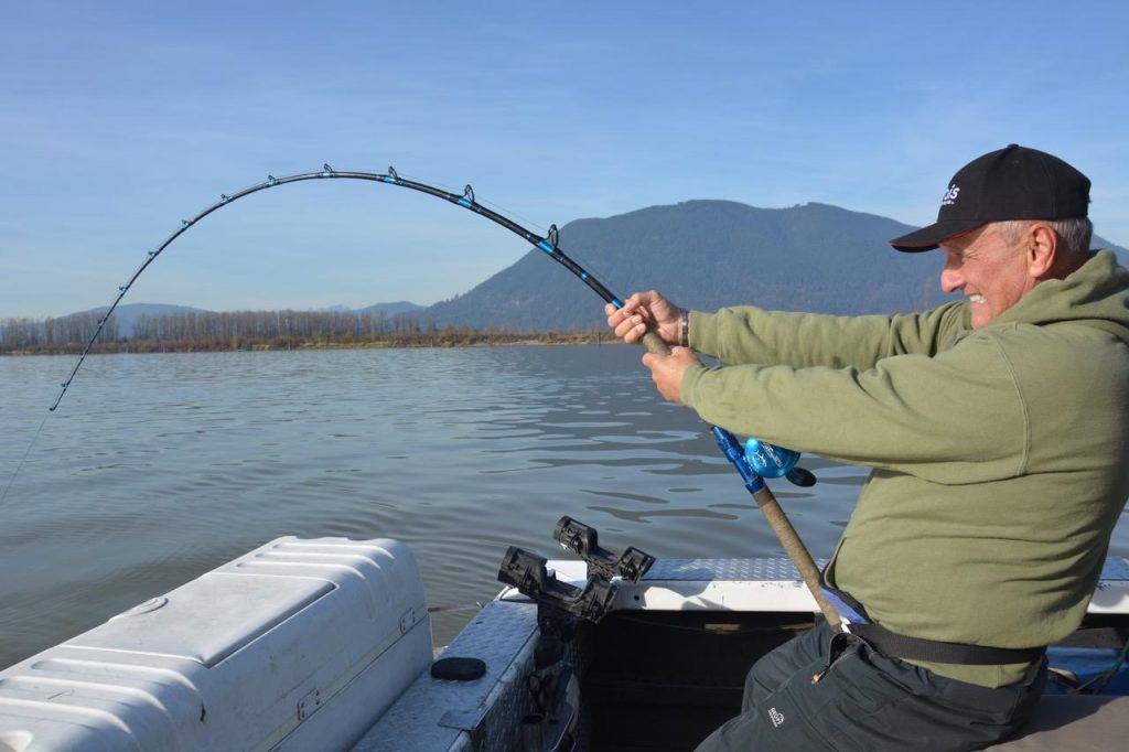Fly fishing on the fraser river