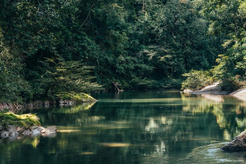 Secure River - Middle Section