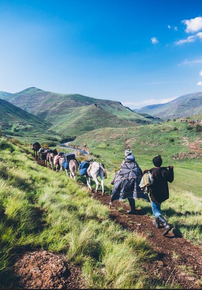 Donkeys and horses are used to transport equipment on the Lesotho backcountry trophy trek.