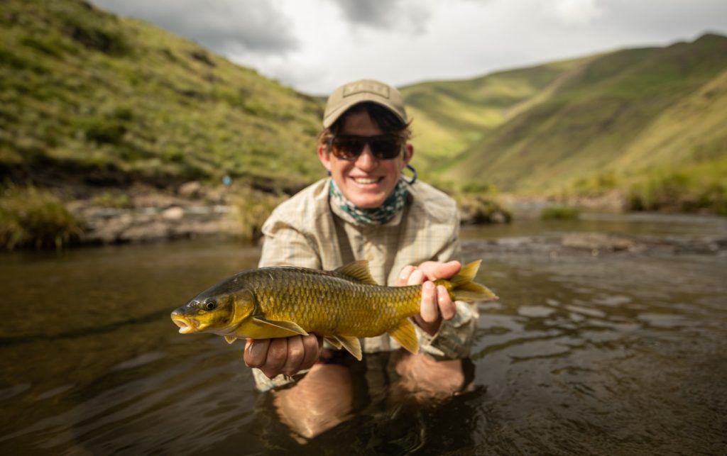 Yellowfish caught on the Lesotho backcountry trophy trek.