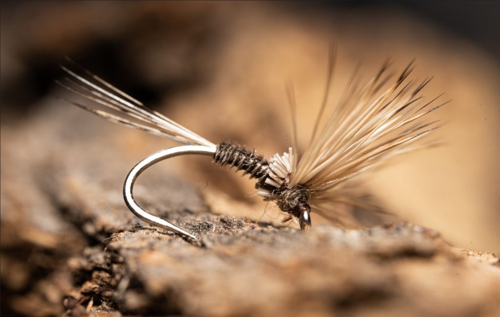 flies on the Lesotho backcountry trophy trek.