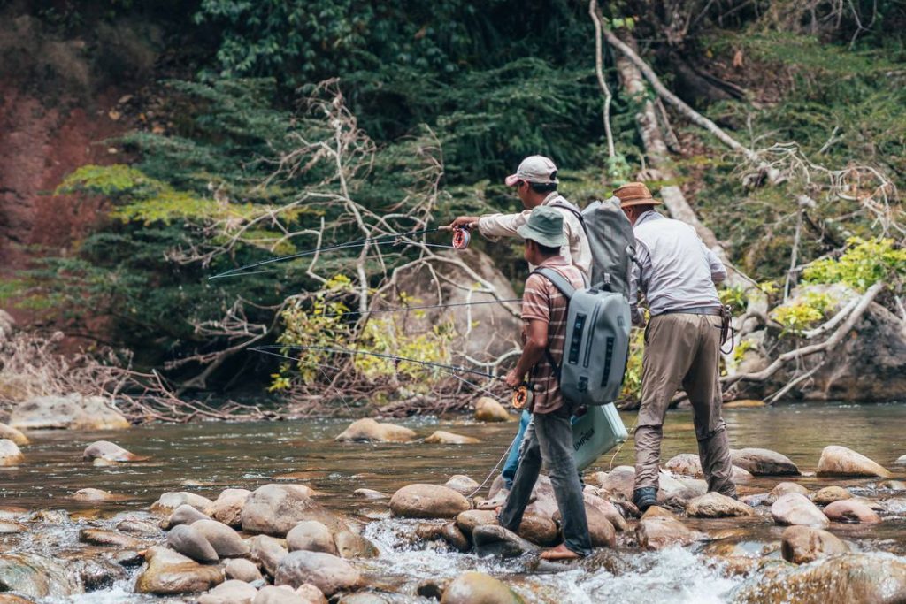 Golden Dorado fly-fishing on the Lower Pluma river